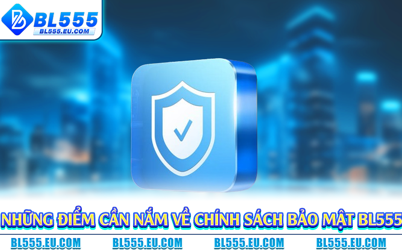 Những điểm cần nắm về chính sách bảo mật BL555